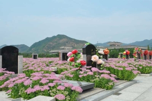 清东陵万佛园环境实景导览 专业选墓顾问全程服务