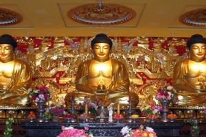 清东陵万佛园冬季开放时间及地址指南