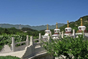 清东陵万佛园高性价比墓园选购指南