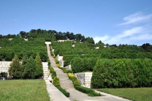 清东陵万佛园墓地价格及类型对比分析