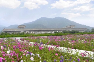 清东陵万佛园四季美景：京城福地风光全览