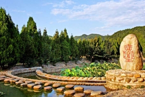 清东陵万佛园：绝美景观与文化探秘指南