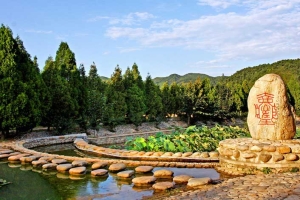 清东陵万佛园环境特色与最新资讯