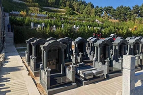 长眠之地：清东陵万佛园一篇读懂陵园详情