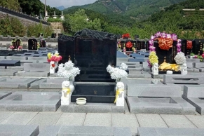 清东陵万佛园环境特色与购园指南